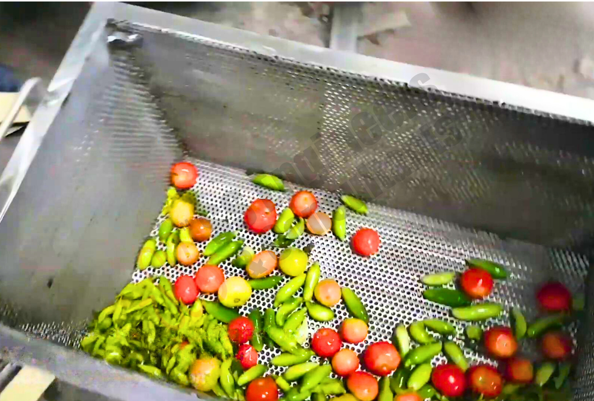 Salad And Cut Vegetables Processing Line